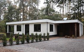 Natuurhuisje Vechtdal Bungalow met privé sauna zwemmeer en houthaard